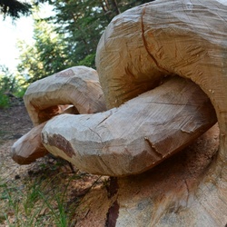 2015-07 Savoie/Lac blanc/DSC_0385.JPG